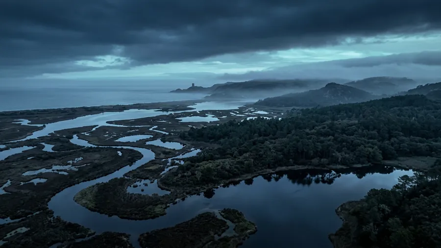 Espacio natural protegido con humedales al atardecer