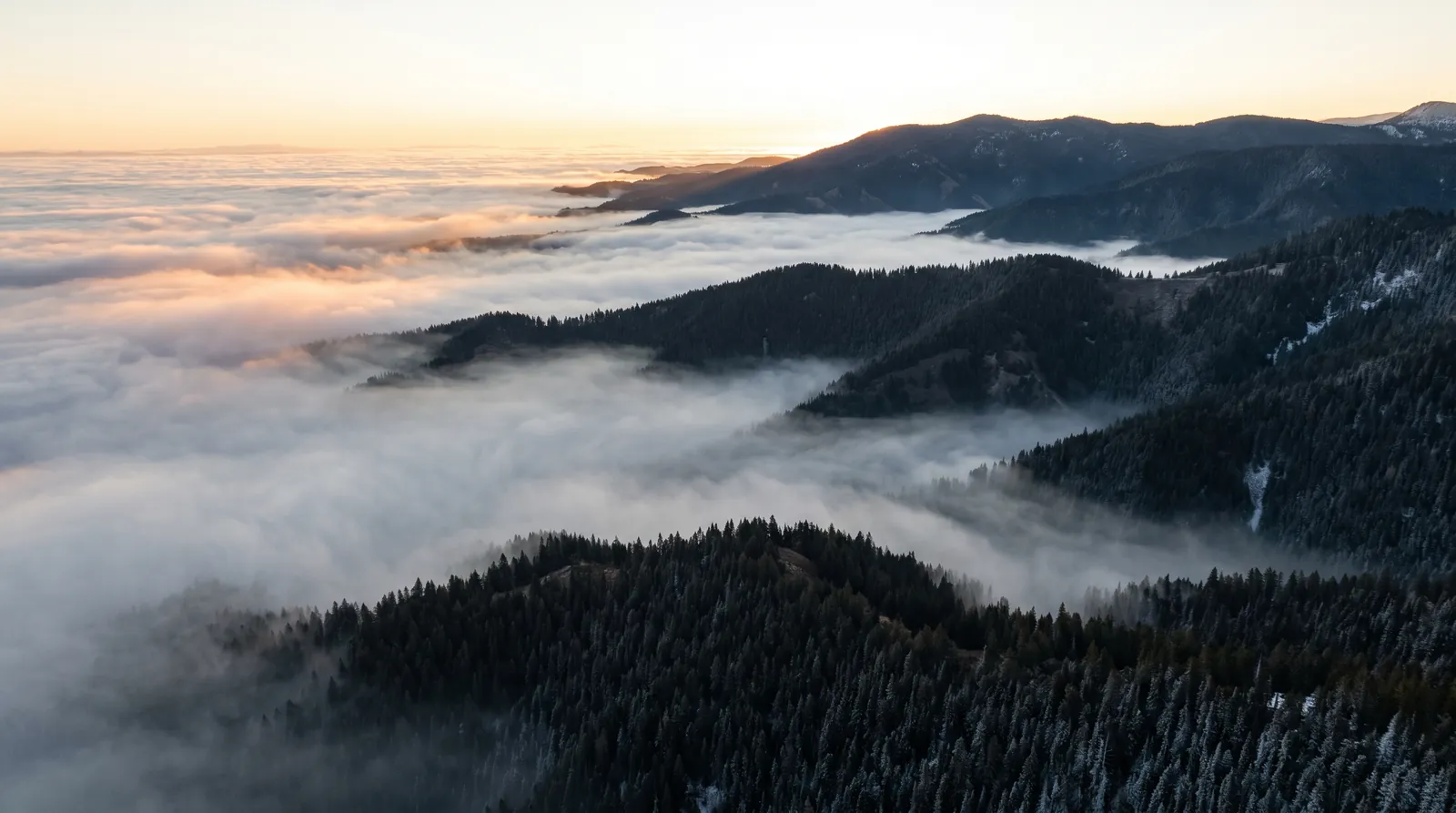 Crestas de una sierra de pinar asomando sobre bancos de niebla en los valles, con el sol bajo del amanecer.